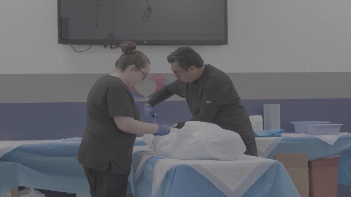 New CBS Reports documentary "Body Brokers" explores realities of